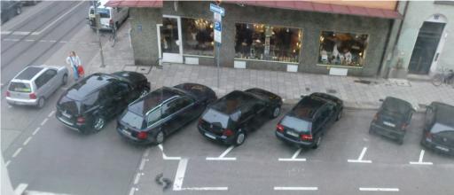Parkchaos