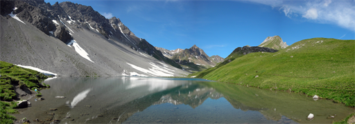 Natur Pur