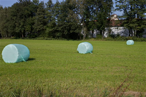Fremdkörper.