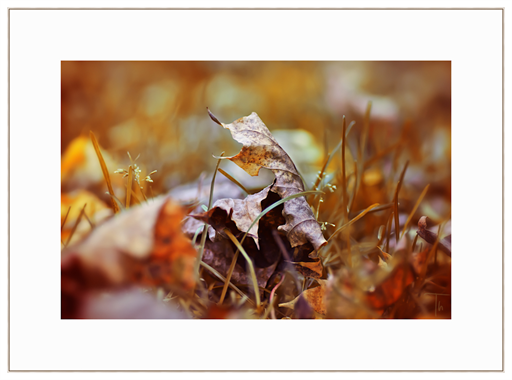 Herbstfarben