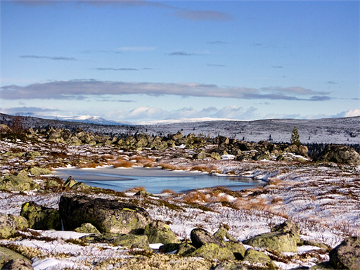 Wintereinbruch im Fjäll