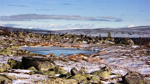 Wintereinbruch im Fjäll (2560x1640))