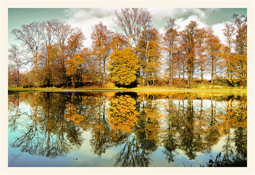 Herrenchiemsee