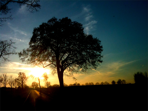 sun set in berlin