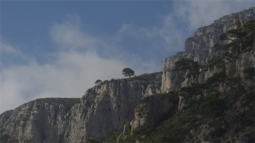Cassis