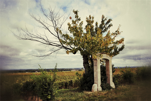 Clos des Ormes