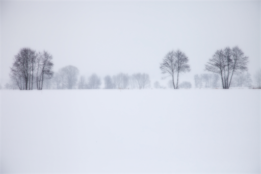 Noch mal Winter.