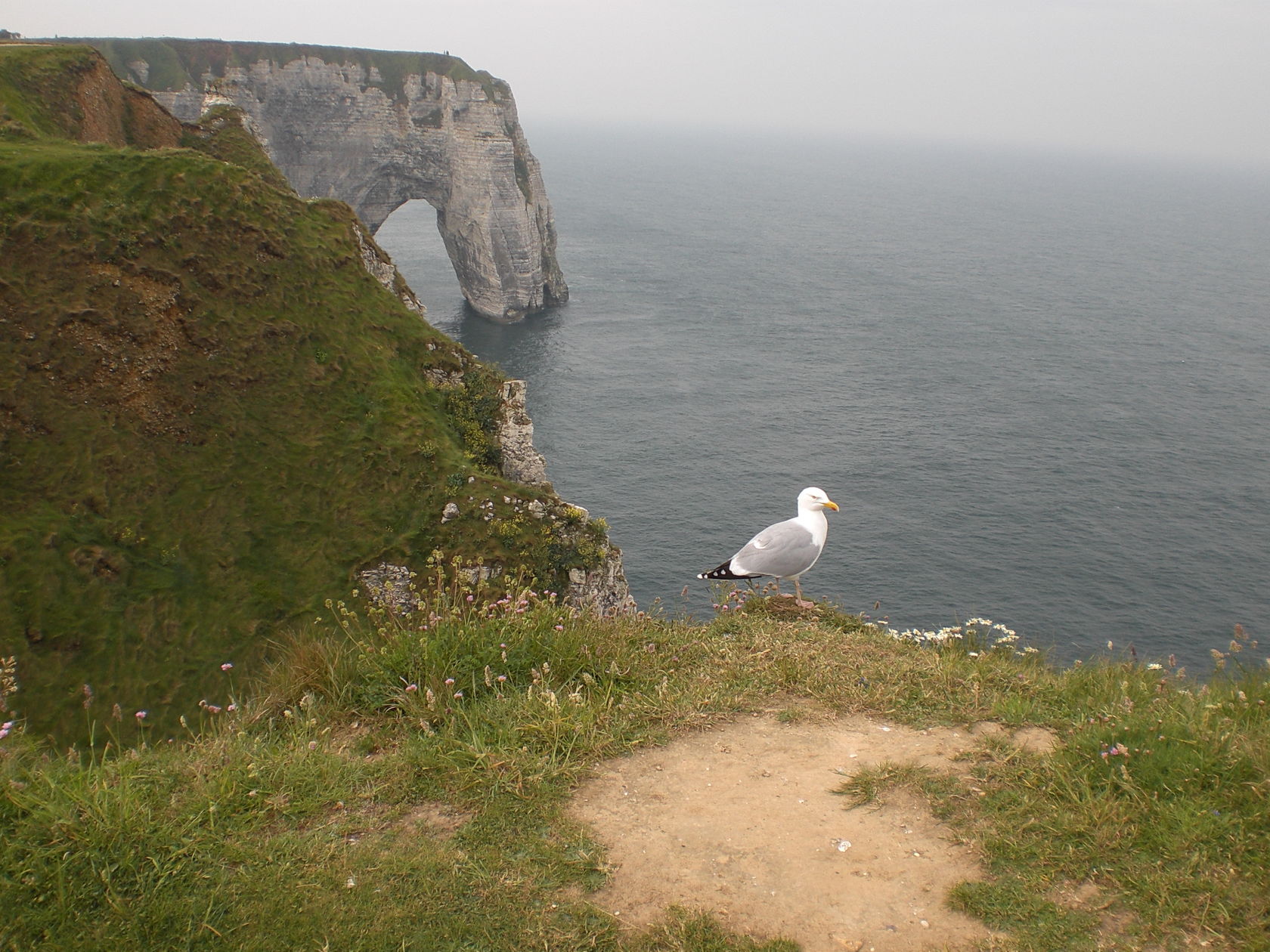  Normandie  Wallpaper Galerie MacTechNews de