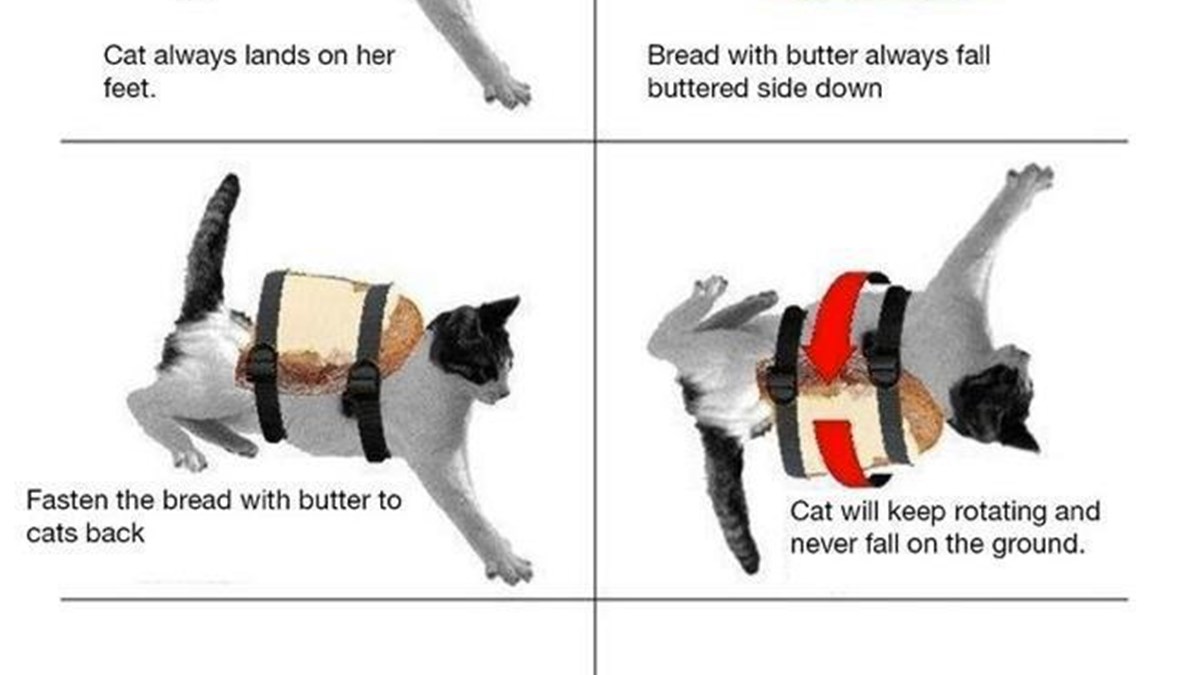 Side down перевод. Кот бутерброд Мем. Кот и бутерброд вечный двигатель. Кошка падает с бутербродом. Кошка и бутерброд с маслом.